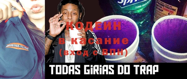 ECSTASY Алзамай