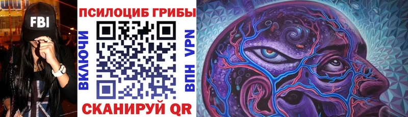 Галлюциногенные грибы мицелий  hydra   Далматово 